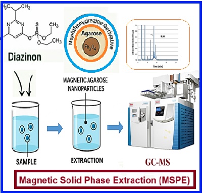 Rapid extraction and determination of Diazinon using agarose-coated iron oxide magnetic nanoparticles modified with a naphthohydrazine derivative via magnetic solid-phase extraction technique before GC-MS analysis