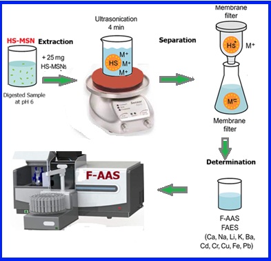Analysis of bioaccumulation of multi-elements in commonly consumed medicinal plants with functionalized mesoporous silica nanoparticles using flame atomic spectroscopy