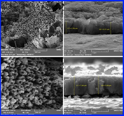 Electrochemical Analysis: Fabrication and evaluation of Ag/Ni catalysts based on TiO<sub>2</sub> nanotubes for sodium borohydride oxidation