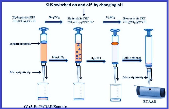 A review: Analytical methods for heavy metals determination in environment and human samples